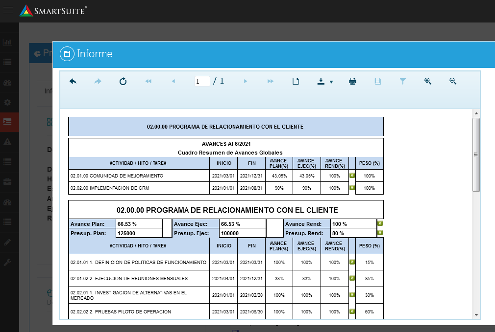 Proyectos - Informe de Ejecución